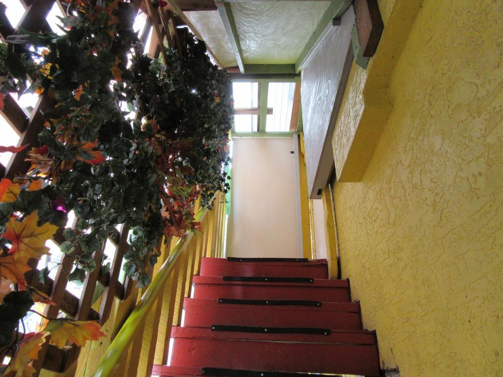 Turtle Hostel Victoria Kültér fotó